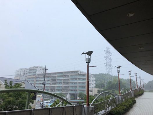 お盆の雨ですねぇ