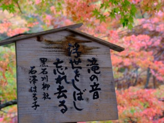 青森浜田店　今年も行ってきました