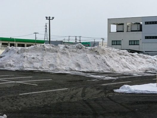 弘前城東店　雪がない！