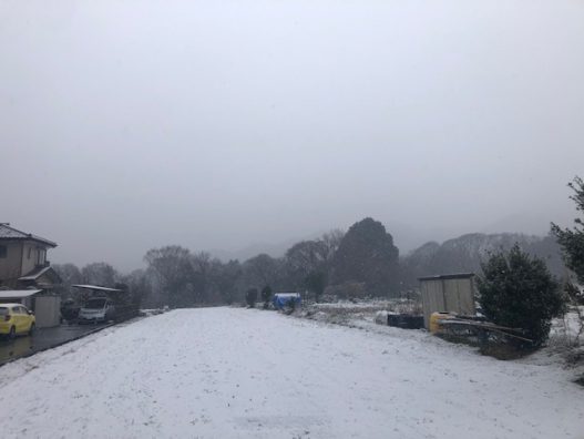 雪が降りました！　横浜こどもの国店