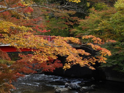 青森の紅葉