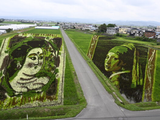 田舎館の田んぼアート