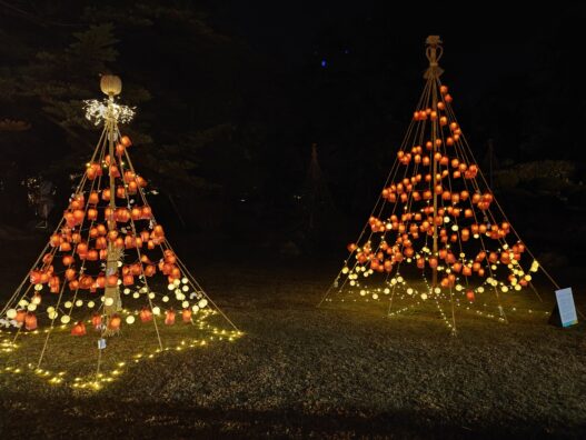 弘前城東店　菊と紅葉まつり