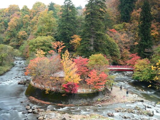 中野もみじ山の紅葉