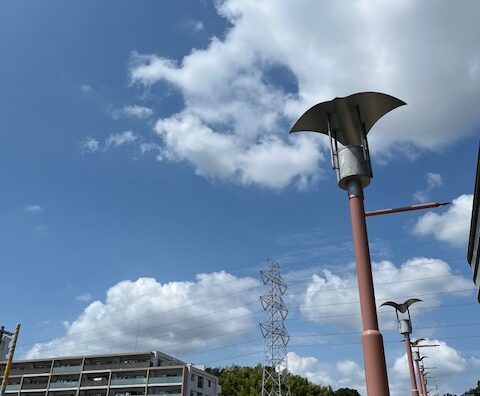 夏本番　横浜こどもの国店