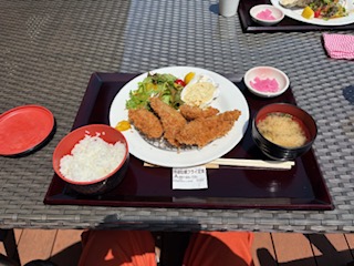 新緑の季節になりました！