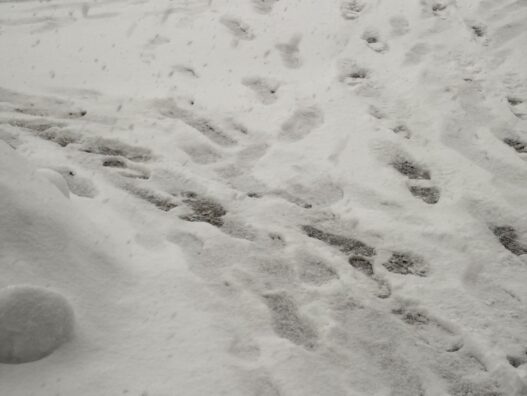 除雪には偏光サングラス