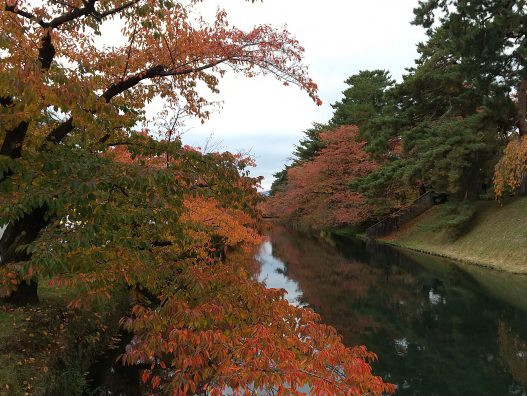 弘前城東店　菊と紅葉まつり