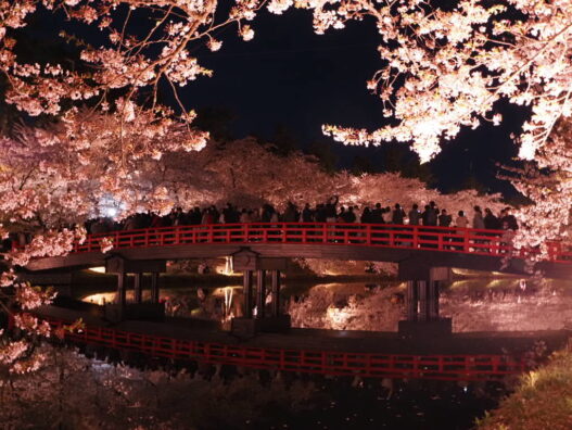 津軽の桜祭り